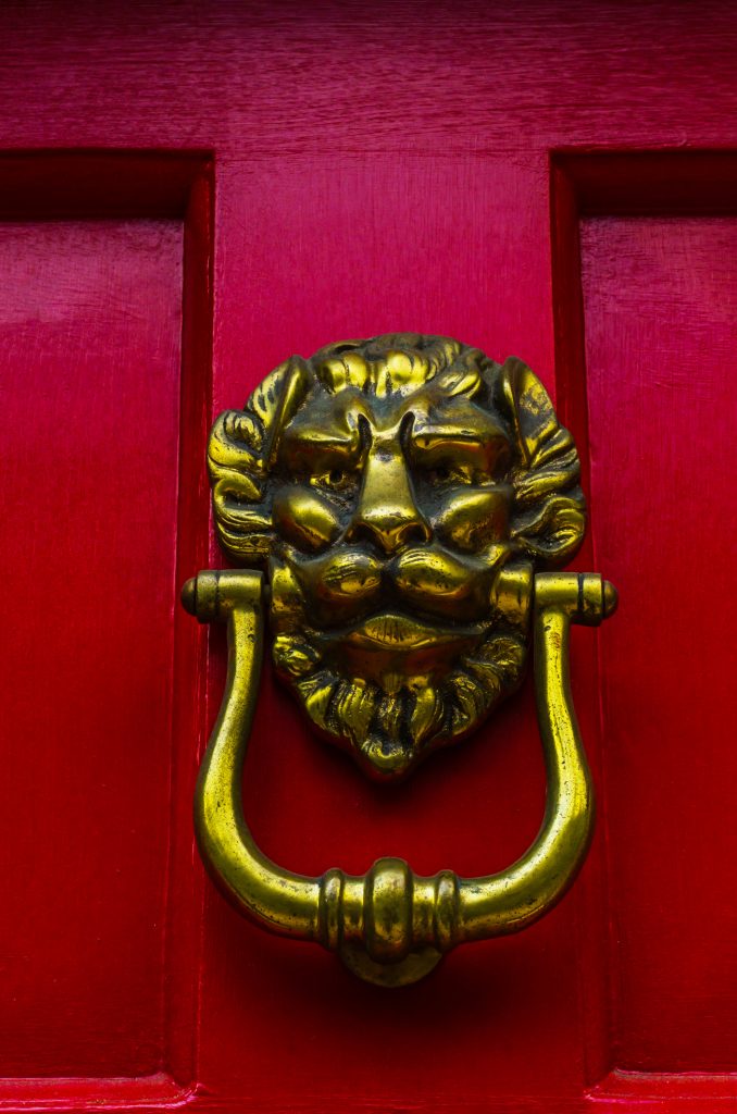 Door with brass knocker in the shape of a lion's head, beautiful entrance to the house, decor