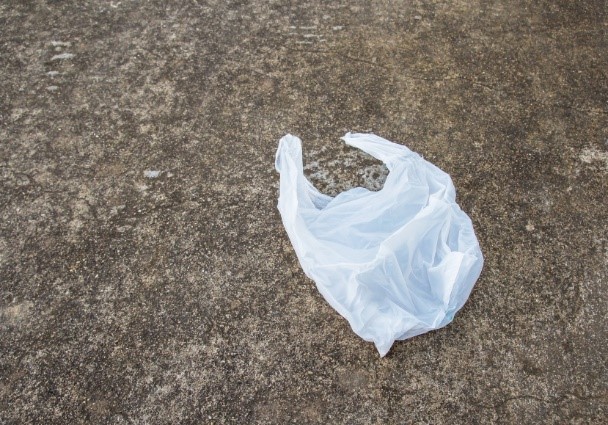 plastic bag on the ground